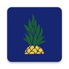 芒果TV HD